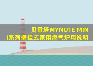 贝雷塔MYNUTE MINI系列壁挂式家用燃气炉用说明